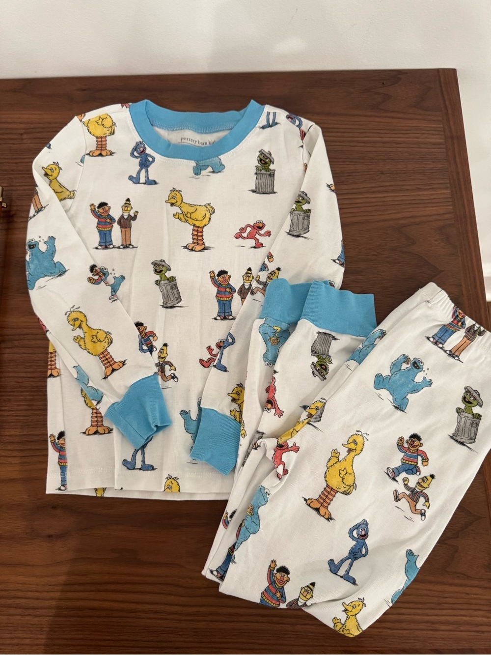 Pottery Barn Sesame Street Pajamas